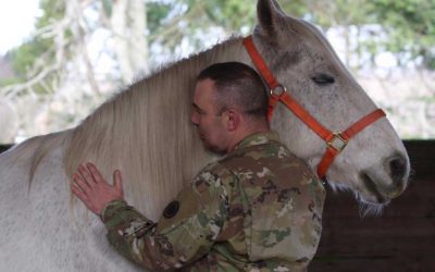 Helping Our Veterans Heal