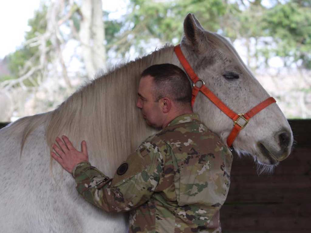 Helping Our Veterans Heal